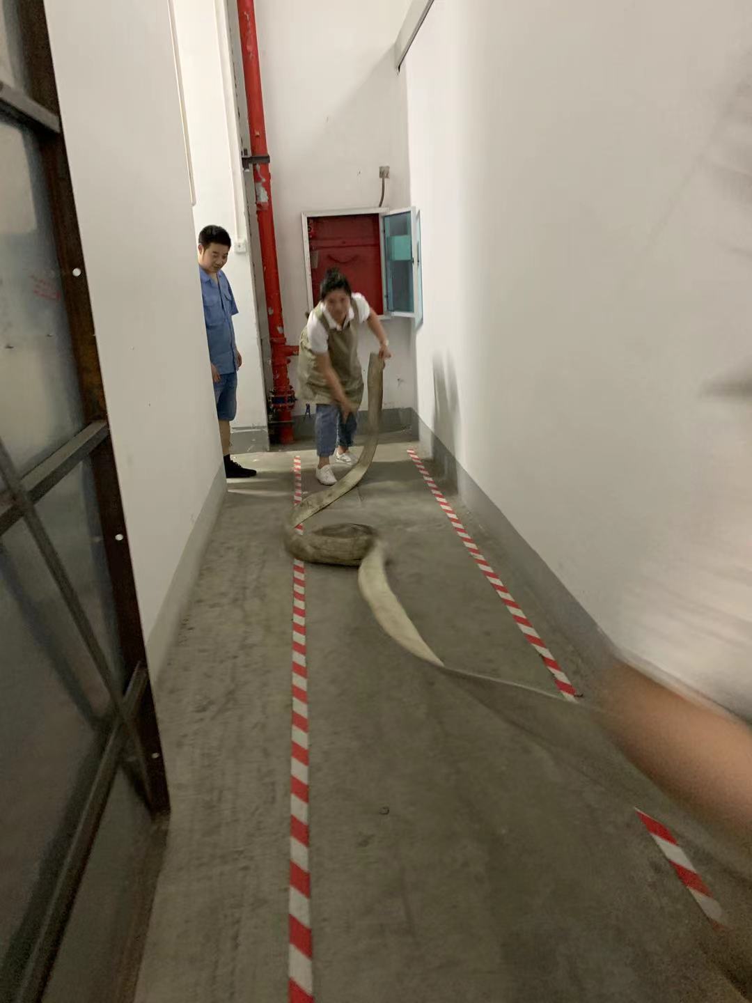 微信圖片_20210517085633.jpg